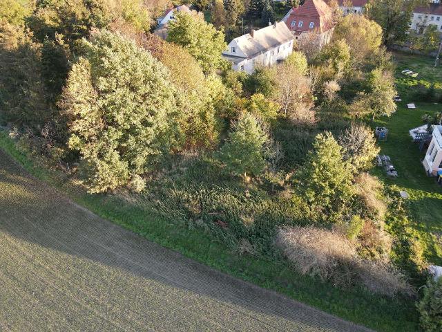 Erdgeschosswohnung kaufen in Lommatzsch, Meißen