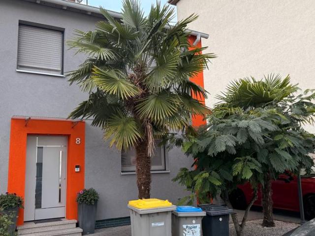 Haus kaufen in Käfertal, Mannheim