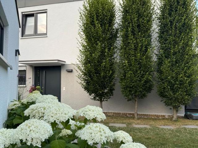 Haus kaufen in Senden, Bayern