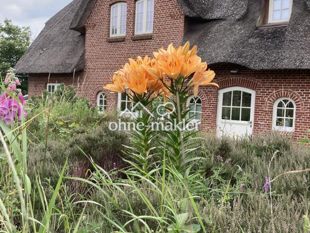 Haus kaufen in Weddingstedt, Schleswig-Holstein