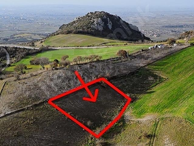 Mustafakemalpaşa, Bursa içerisinde satılık mülk