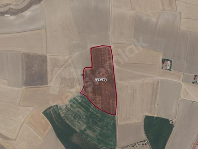 Avanos, Nevşehir içerisinde satılık Arsa