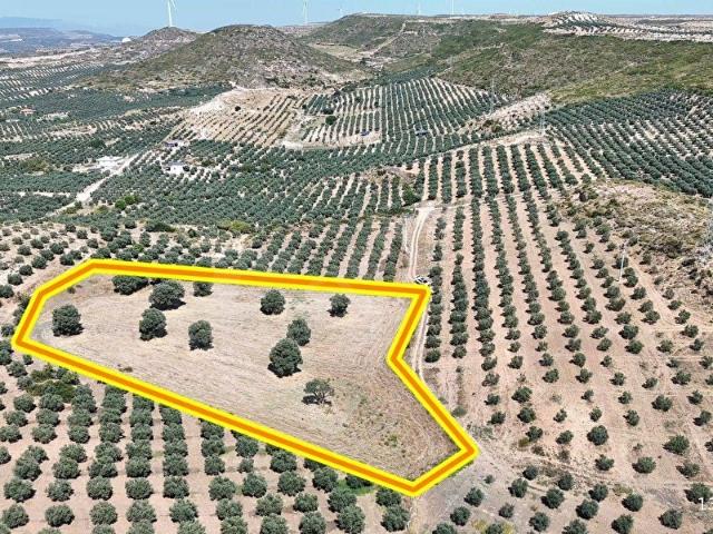 Didim, Aydin içerisinde satılık mülk