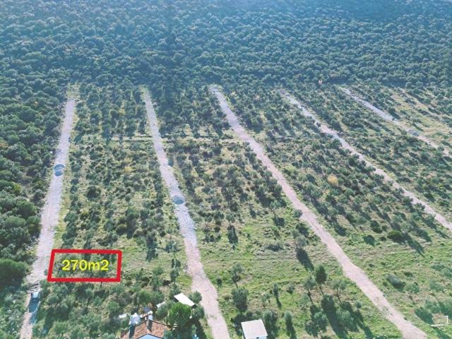 Didim, Aydin içerisinde satılık mülk
