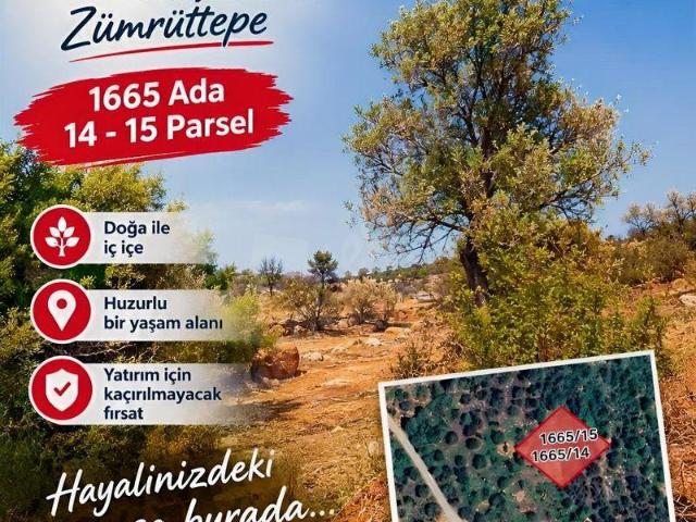 Didim içerisinde satılık Arsa