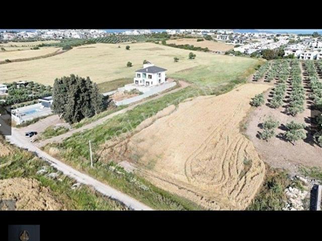 Didim, Aydin içerisinde satılık mülk