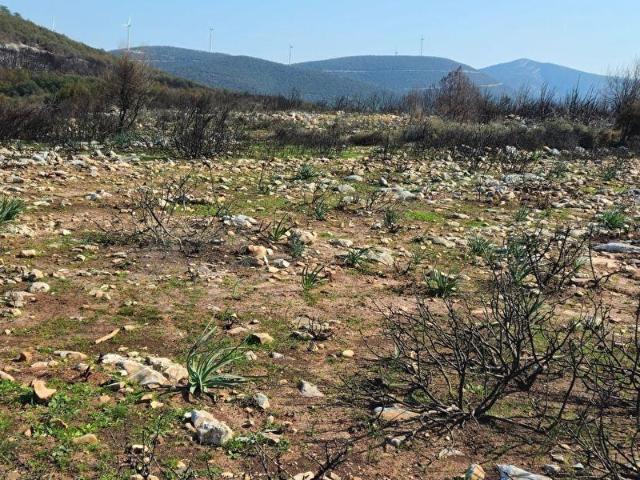 Didim, Aydin içerisinde satılık Arsa