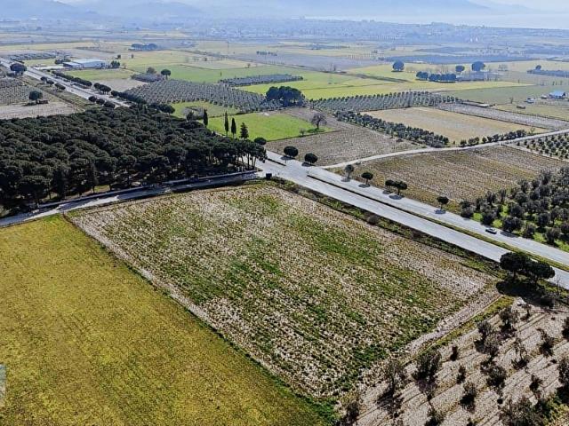Dikili, İzmir içerisinde satılık Arsa