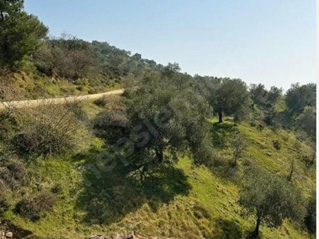 Dikili, İzmir içerisinde satılık Arsa