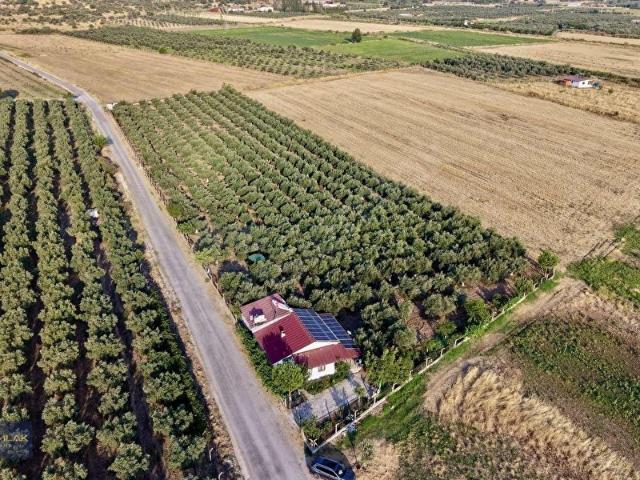 Dikili, İzmir içerisinde satılık Arsa