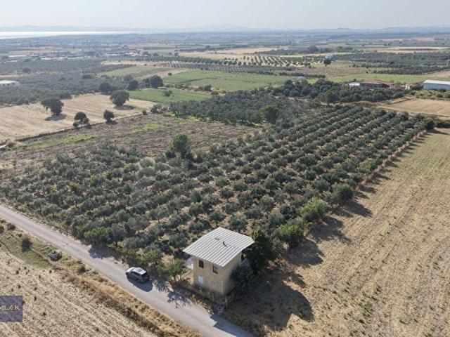 Dikili, İzmir içerisinde satılık Arsa