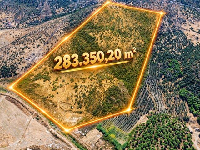 Salimbey Mahallesi, Dikili içerisinde satılık Arsa