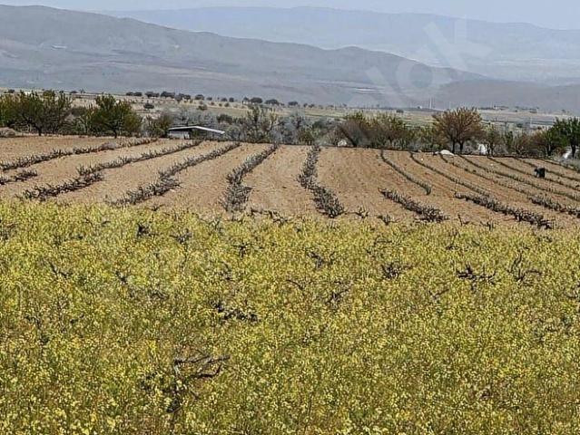 Sulusaray Beldesi, Nevşehir Merkez içerisinde satılık Arsa
