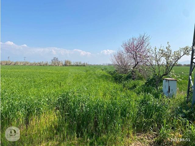 Tire, İzmir içerisinde satılık Arsa