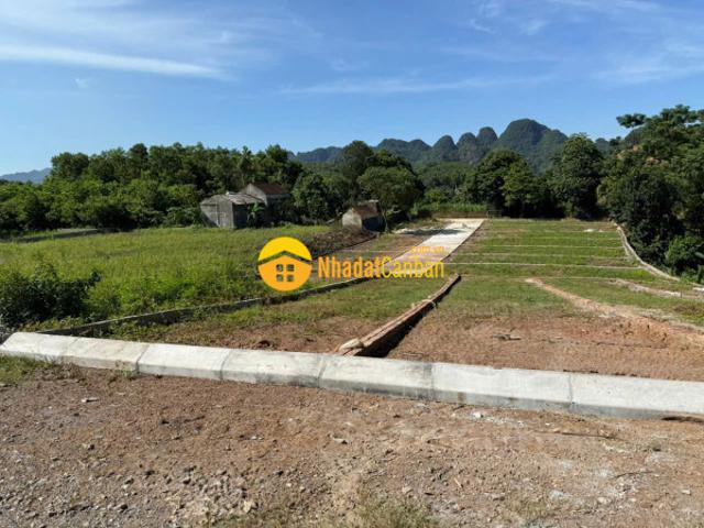 Mặt bằng bán