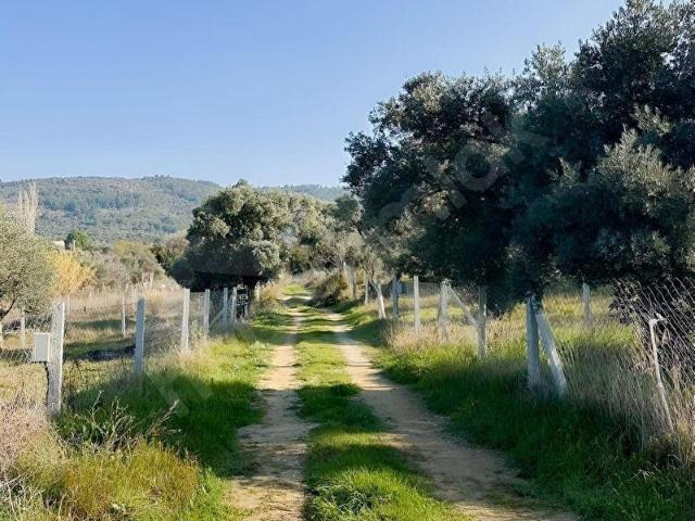 Torbali, İzmir içerisinde satılık mülk