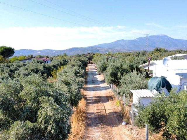 Torbali, İzmir içerisinde satılık mülk