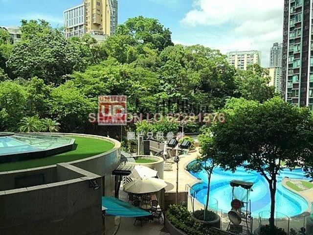 提供 出租 的 合租房
