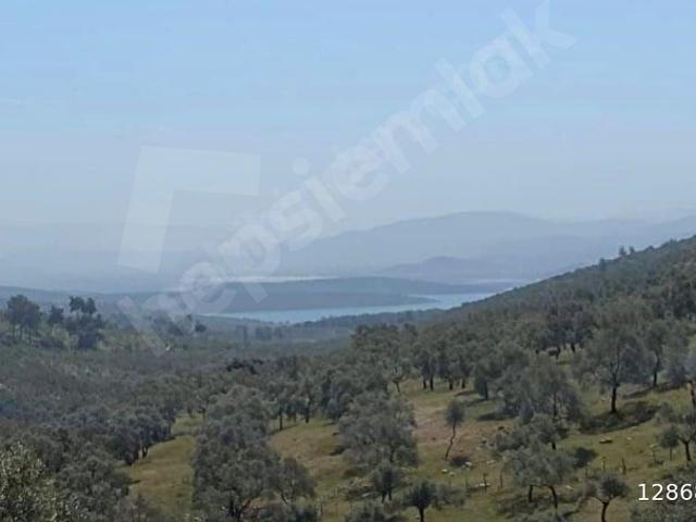Milas, Muğla içerisinde satılık Arsa