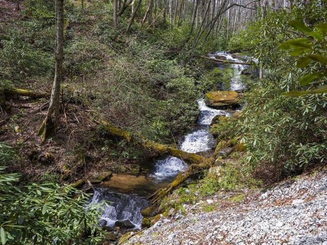 Land for sale in Transylvania, North Carolina