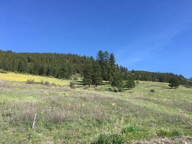 Land for sale in Sanders, Montana