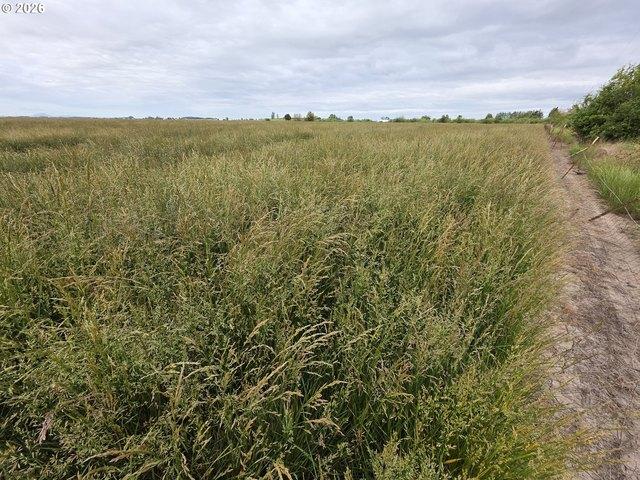 Farm for sale in Oregonia