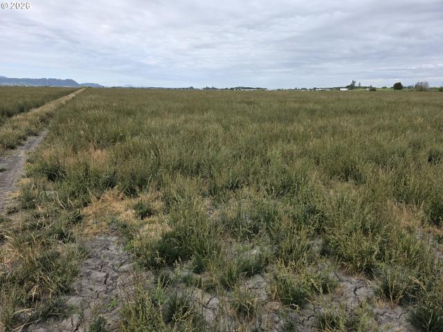 Land for sale in Oregonia