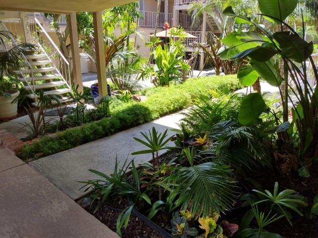 Apartment for rent in Jacumba, California