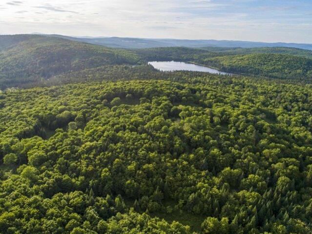 Land for sale in New Hampshire