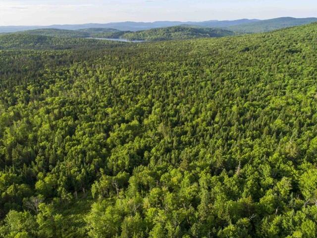 Land for sale in New Hampshire