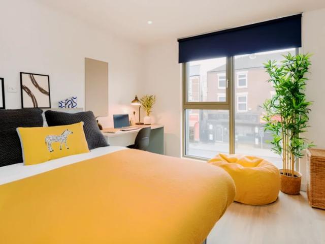 Studio for rent in Haddon, East Midlands