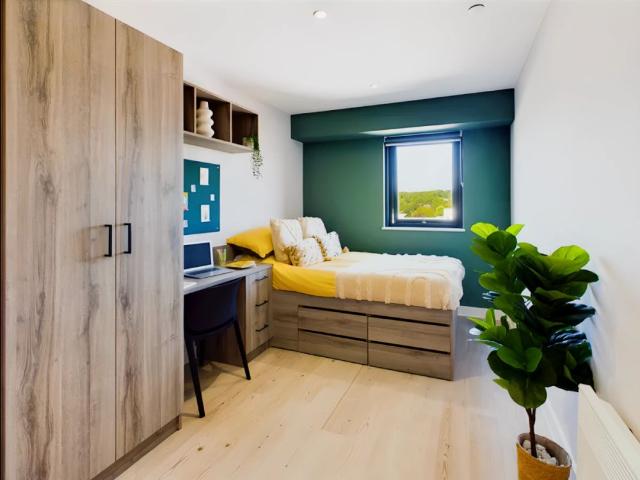 Studio for rent in Haddon, East Midlands