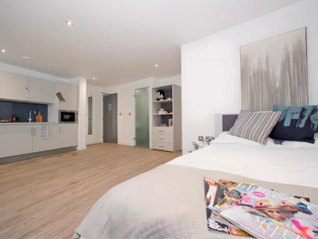 Studio for rent in The Meadows, Haddon
