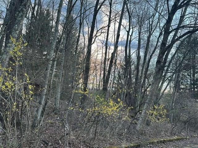 Land for sale in Village of Woodridge, Town of Fallsburg