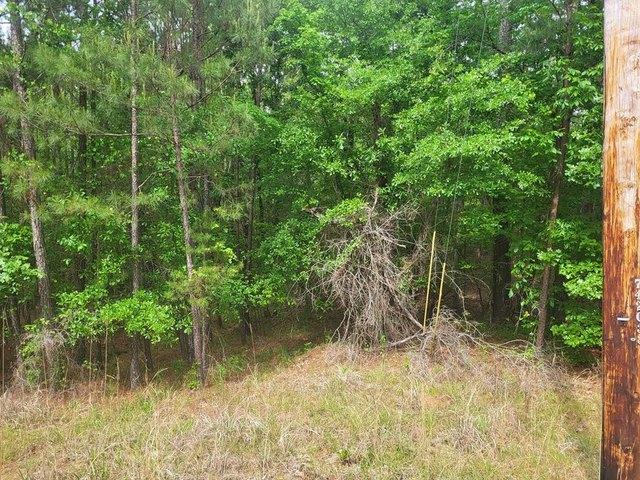 Land for sale in Sparta, Georgia