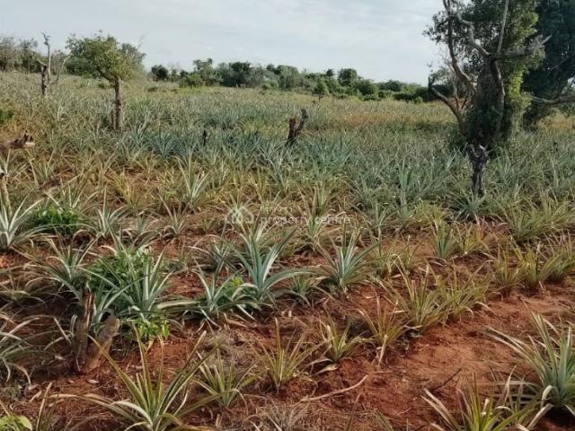Land for sale in Malindi, Kilifi