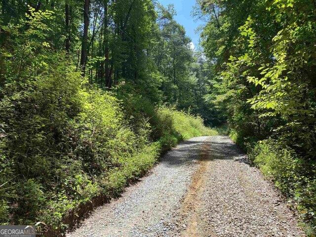 Land for sale in Ellijay
