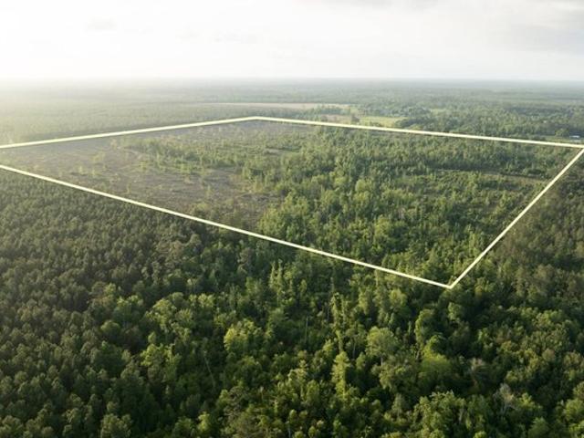 Land for sale in Dequincy, Louisiana