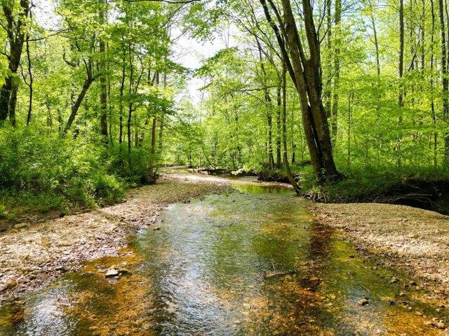 Land for sale in Dickson, Tennessee