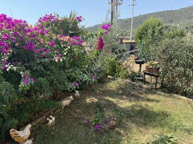 Didim içerisinde satılık mülk