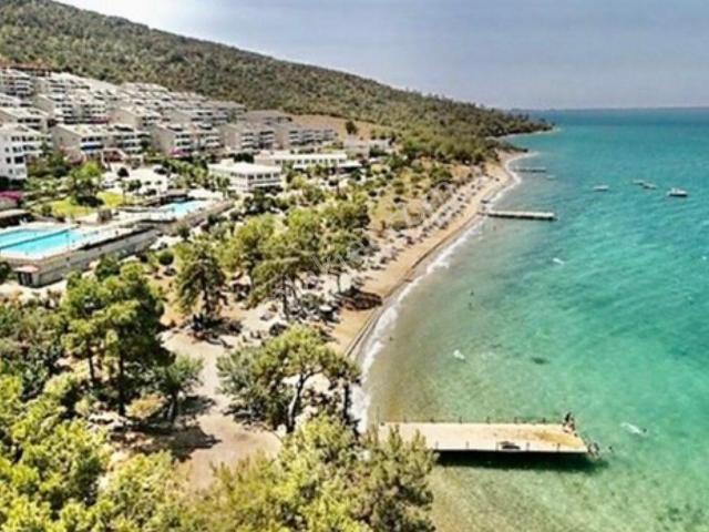 Didim, Aydin içerisinde satılık mülk