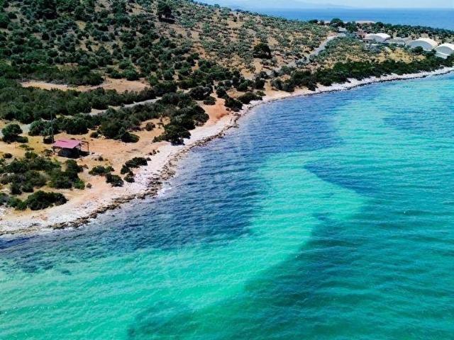 Didim, Aydin içerisinde satılık Arsa
