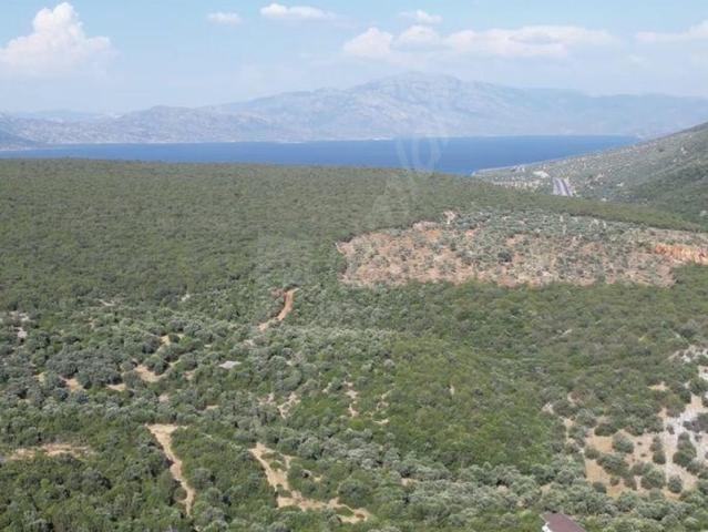 Akyeniköy, Didim içerisinde satılık mülk