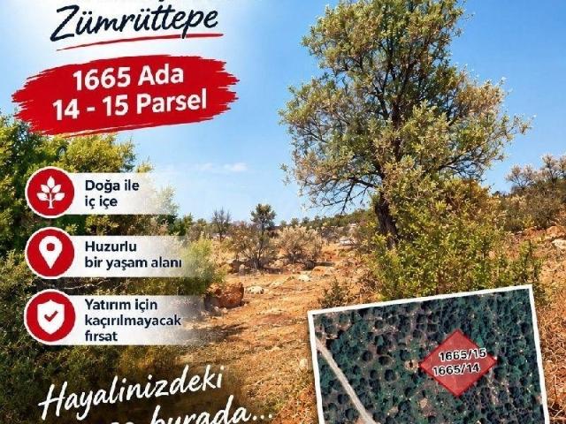 Didim içerisinde satılık mülk