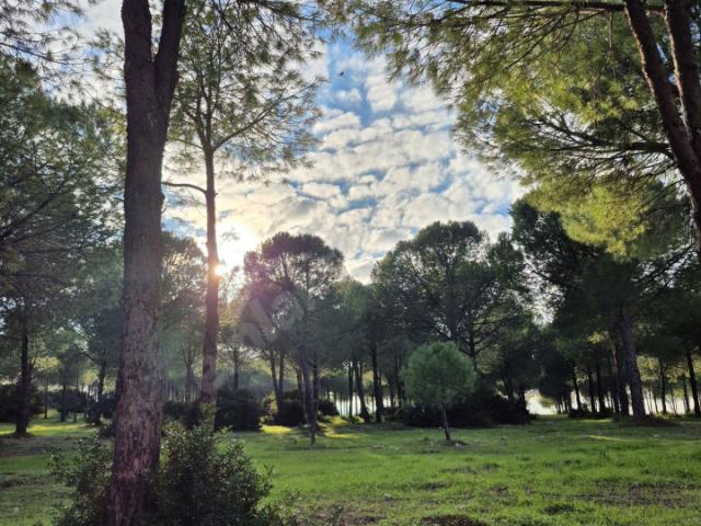 Aydın Merkez, Aydin içerisinde satılık mülk