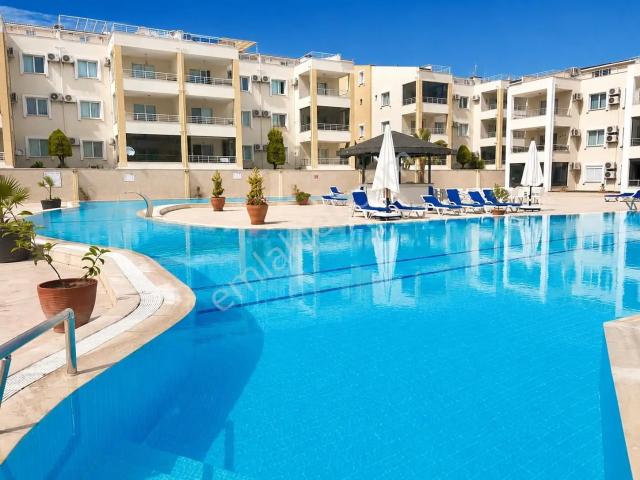 Efeler, Didim içerisinde kiralık mülk