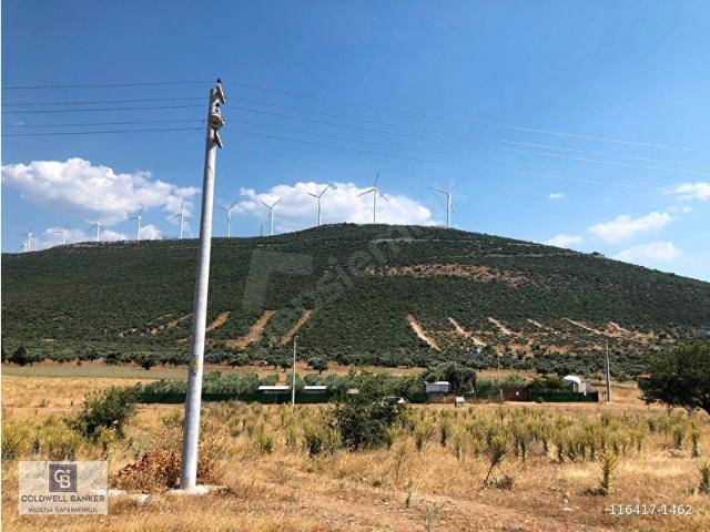 Didim, Aydin içerisinde satılık mülk