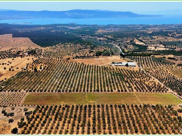 Didim içerisinde satılık Arsa