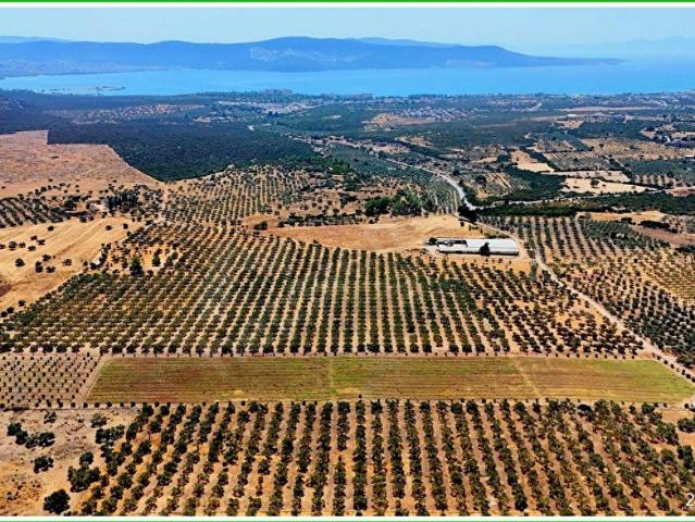 Didim, Aydin içerisinde satılık Arsa