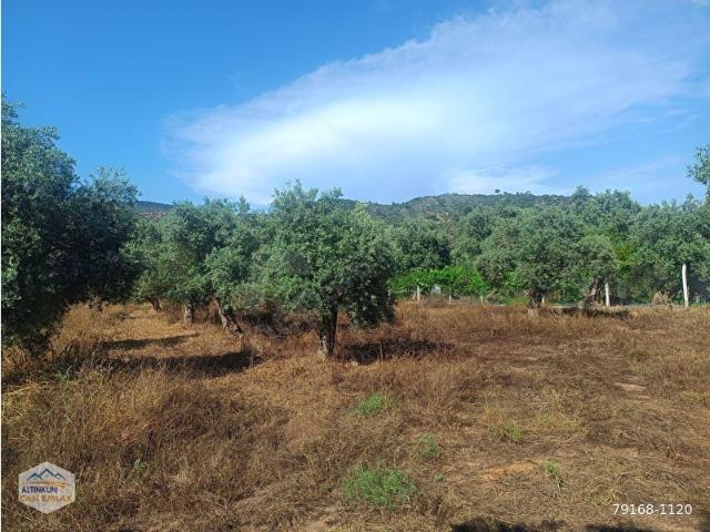 Milas, Muğla içerisinde satılık mülk